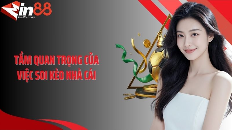 Tầm quan trọng của việc soi kèo nhà cái